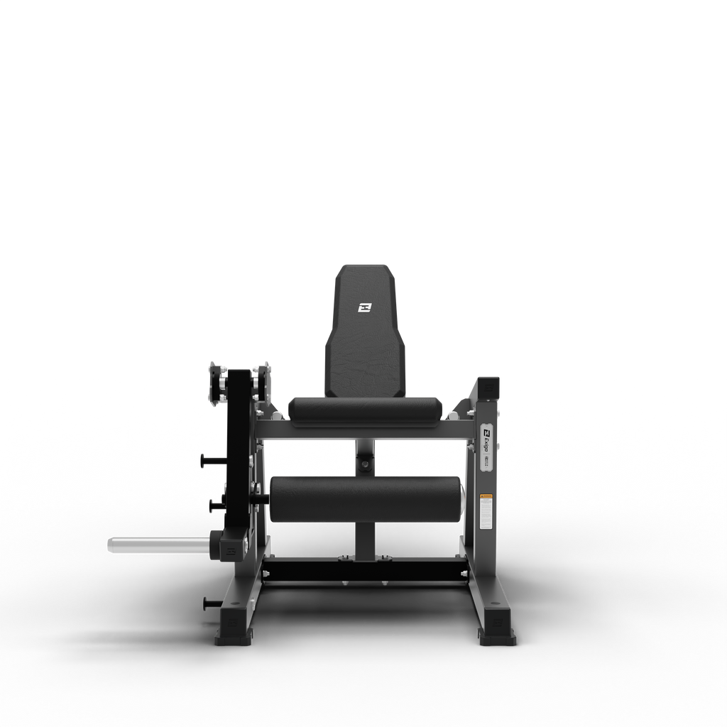 Leg Extension