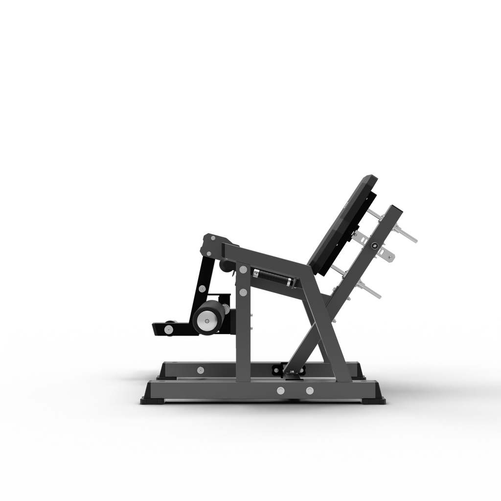 Leg Extension