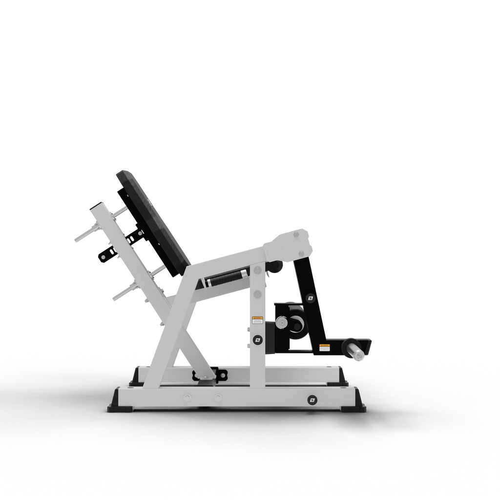 Leg Extension