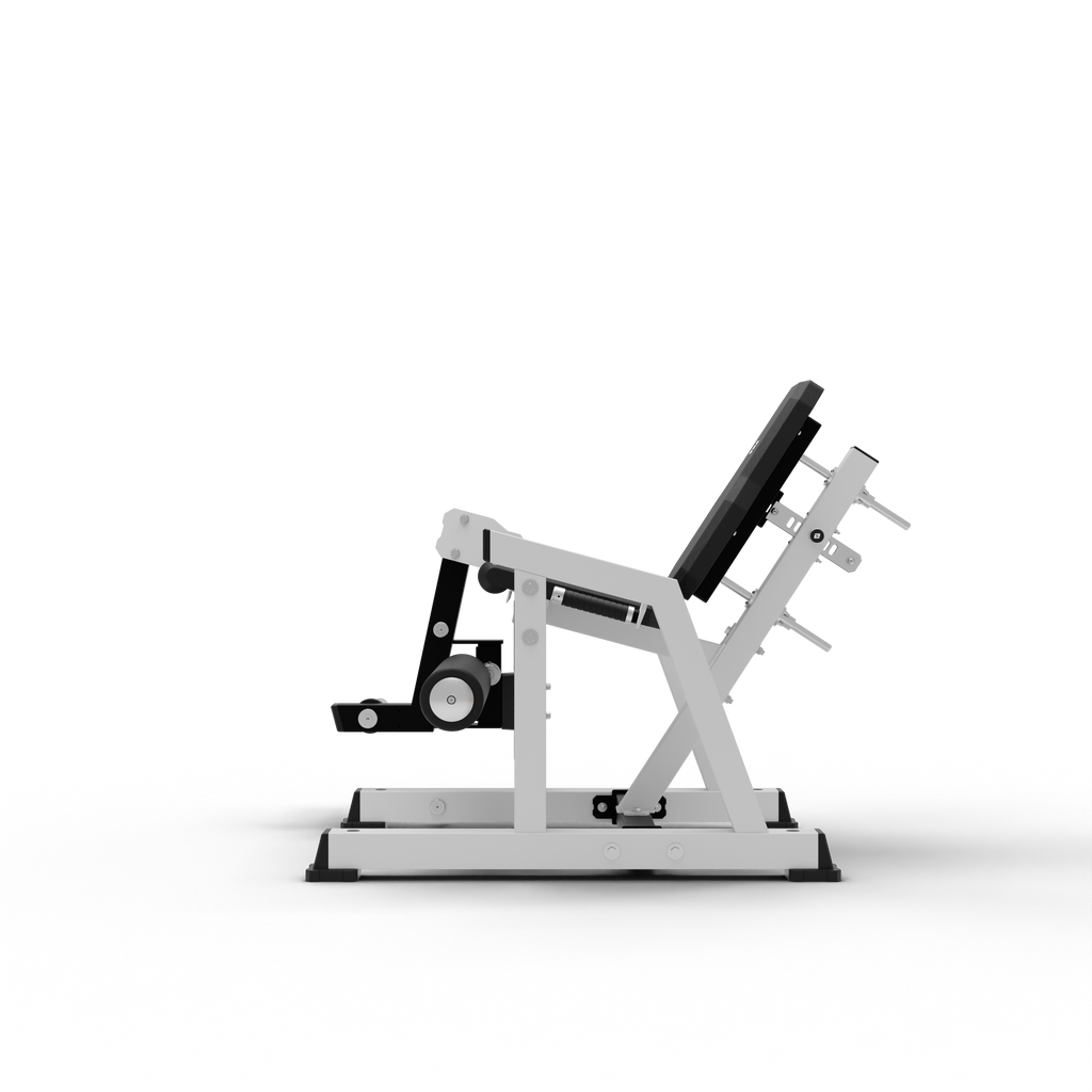 Leg Extension