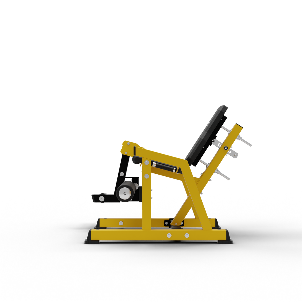 Leg Extension