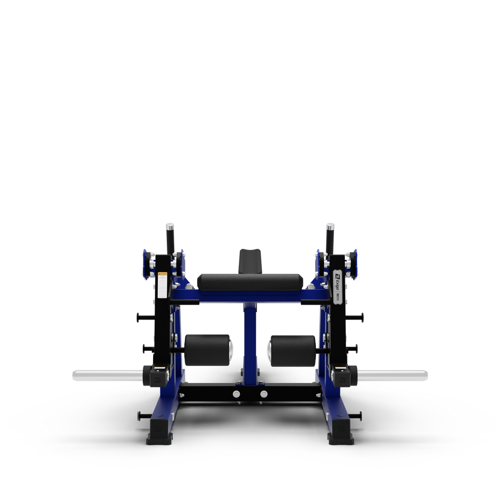 ISO Lying Leg Extension