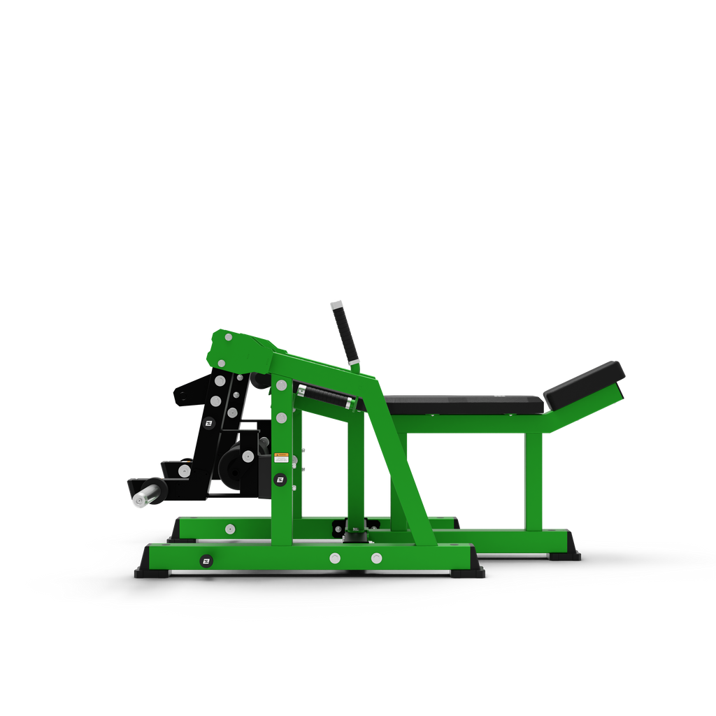ISO Lying Leg Extension