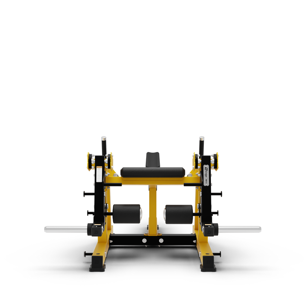 ISO Lying Leg Extension