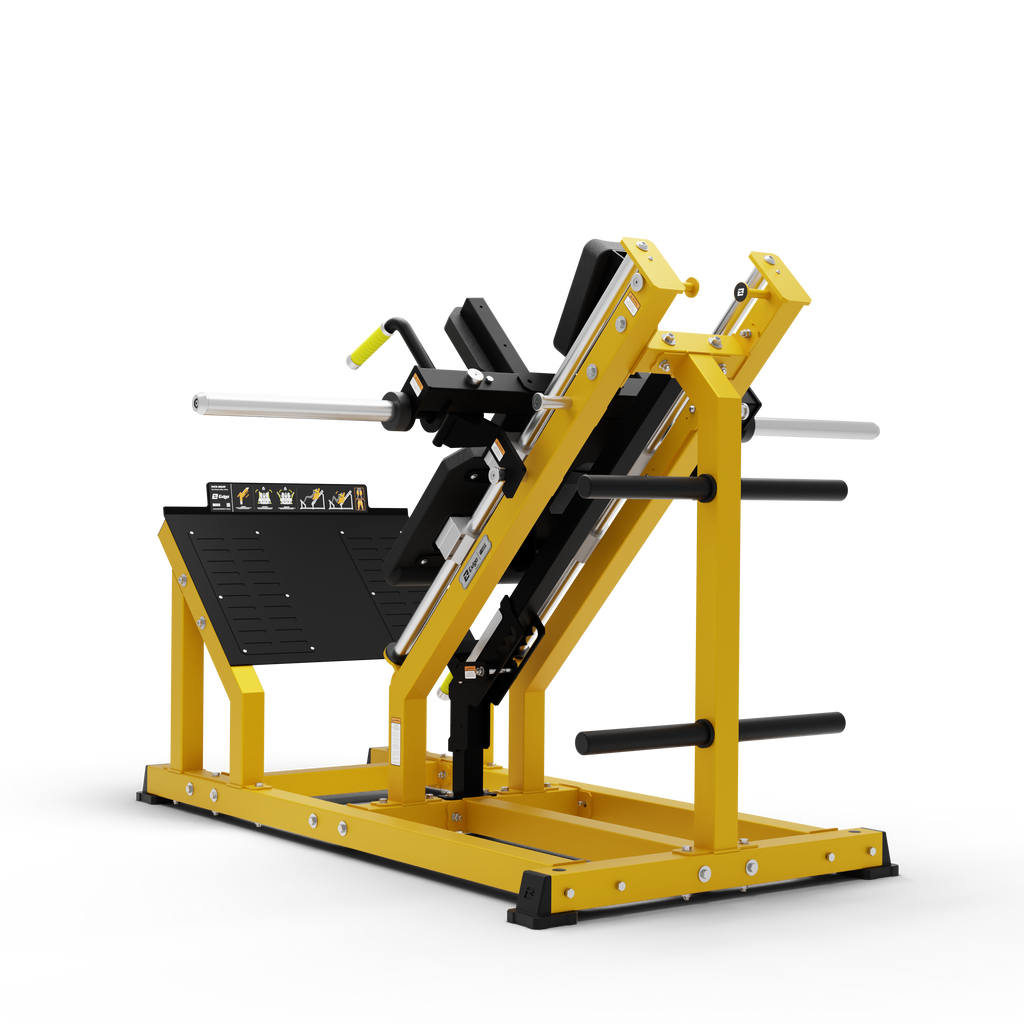 Hack Squat