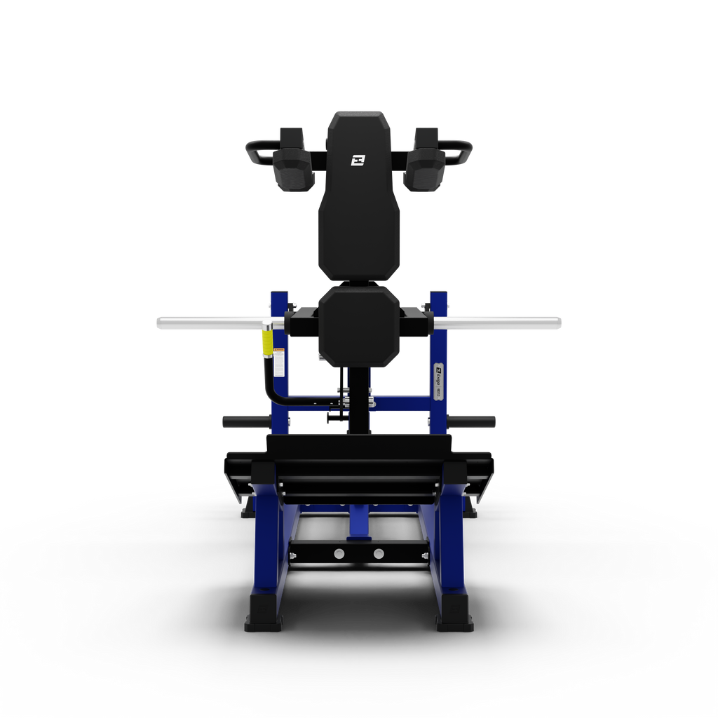V Squat