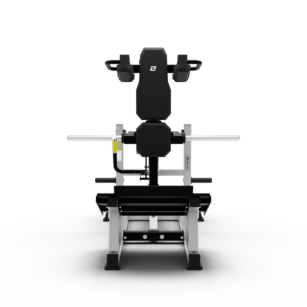 V Squat