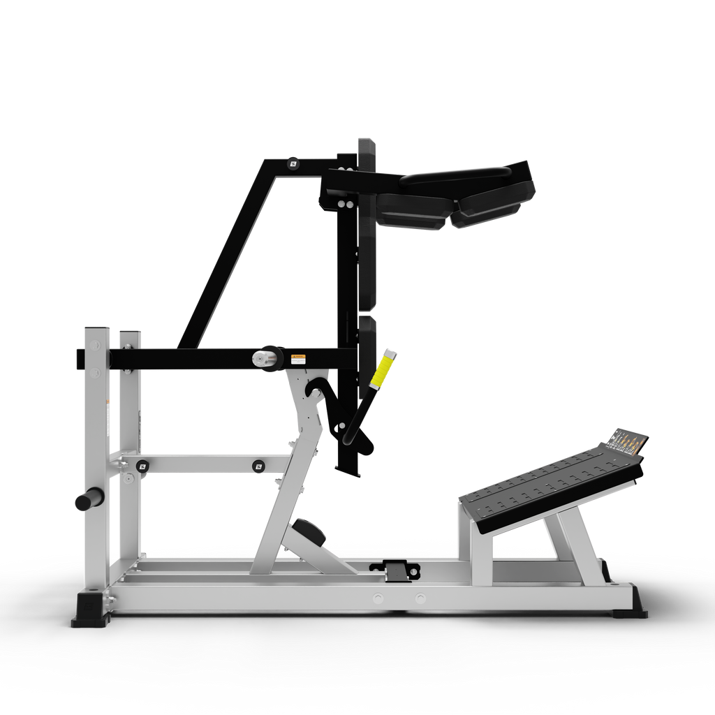 V Squat