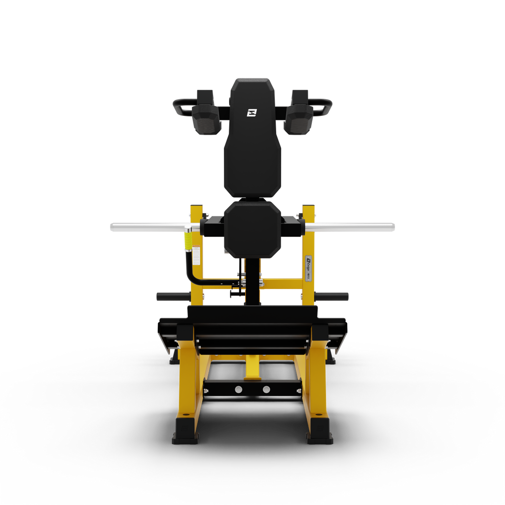 V Squat