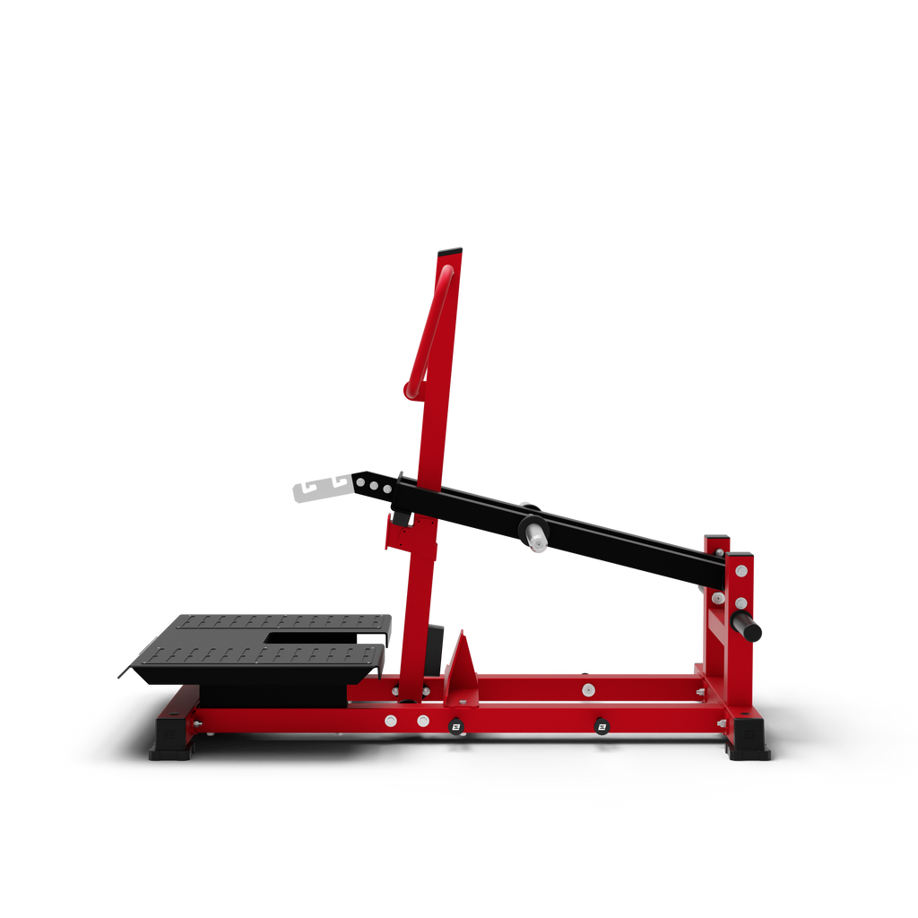 Belt Squat