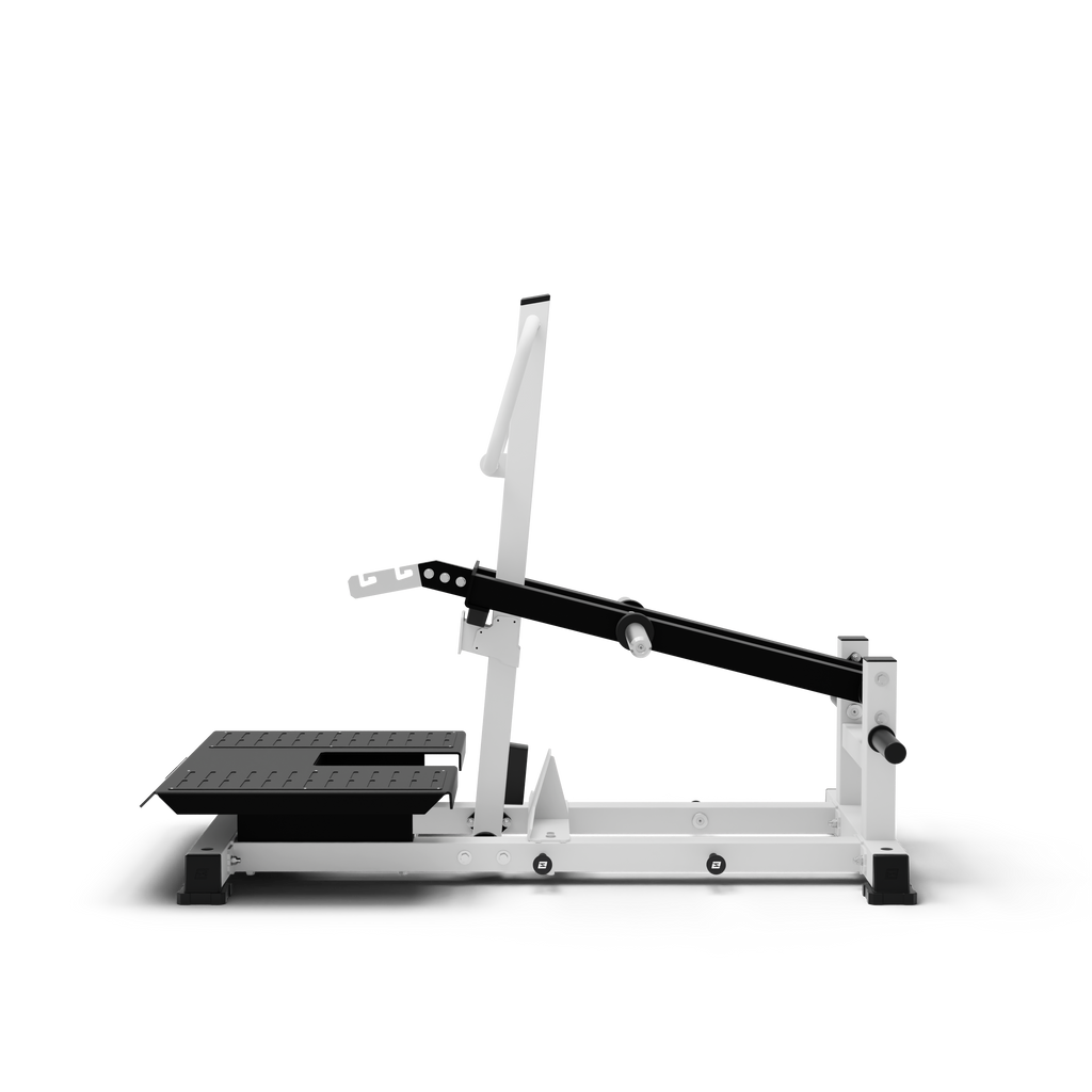 Belt Squat