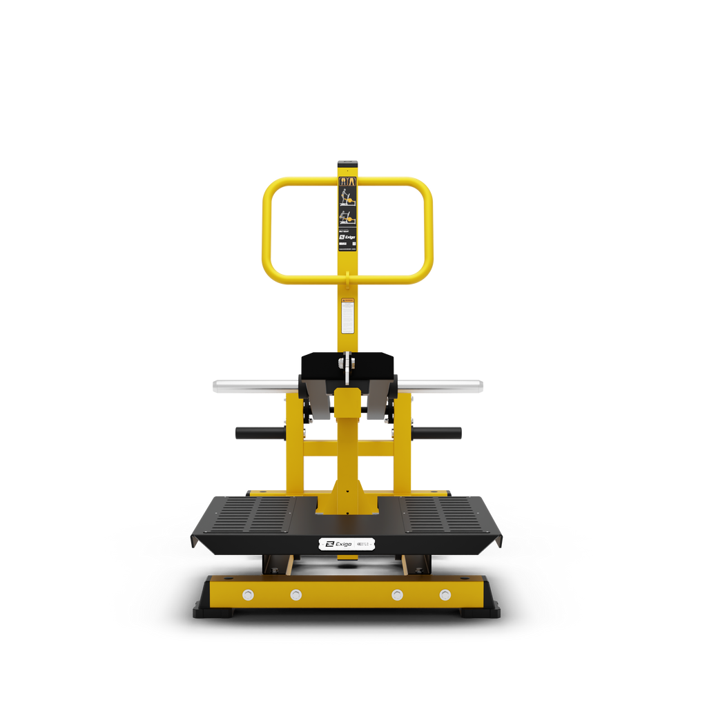 Belt Squat