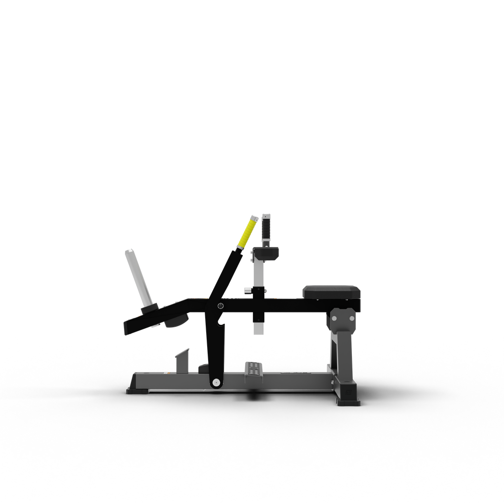 Seated Calf Raise