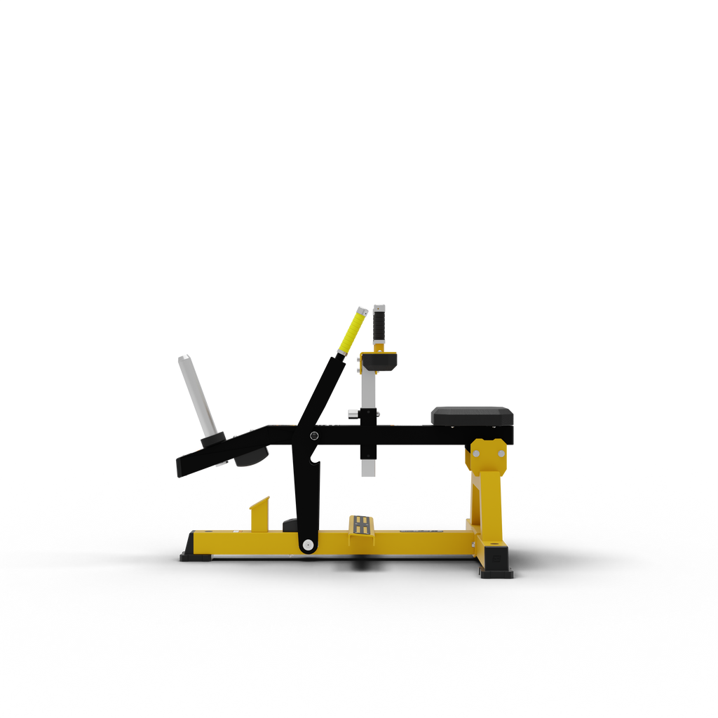 Seated Calf Raise
