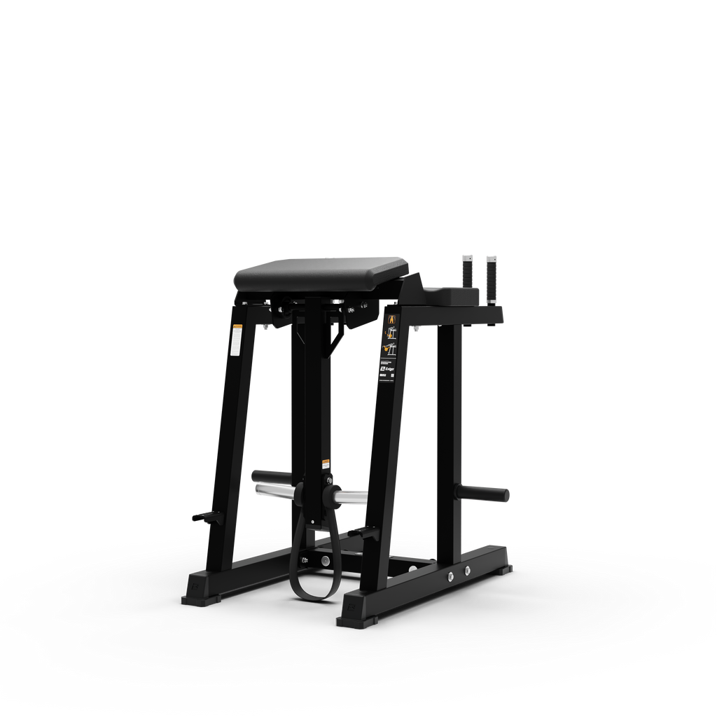 Reverse Hyper Extension