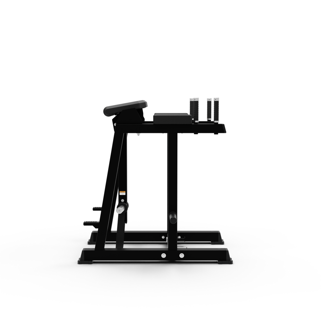 Reverse Hyper Extension