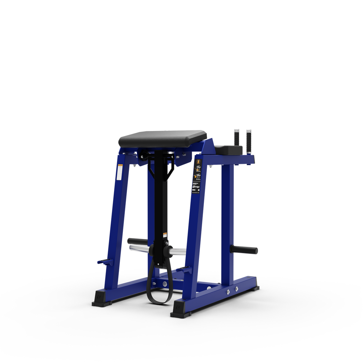 Reverse Hyper Extension