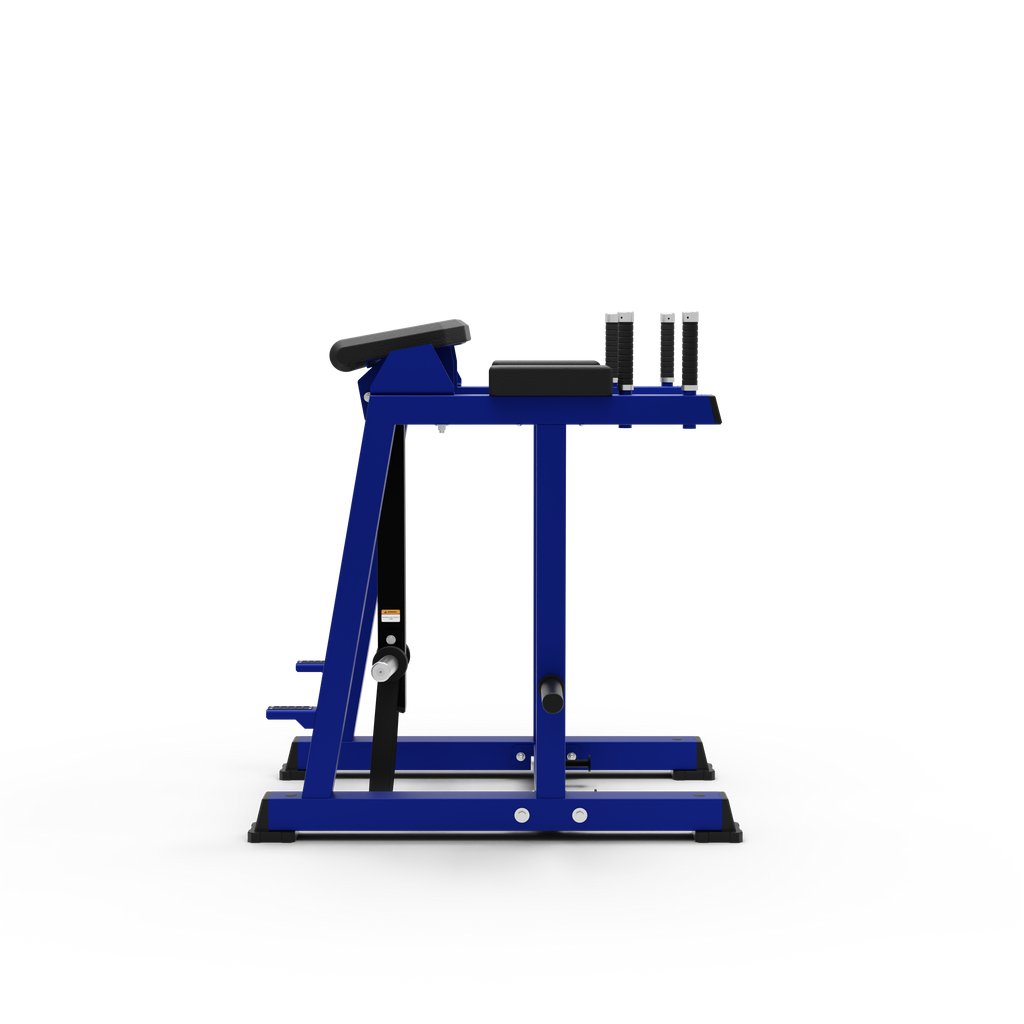 Reverse Hyper Extension