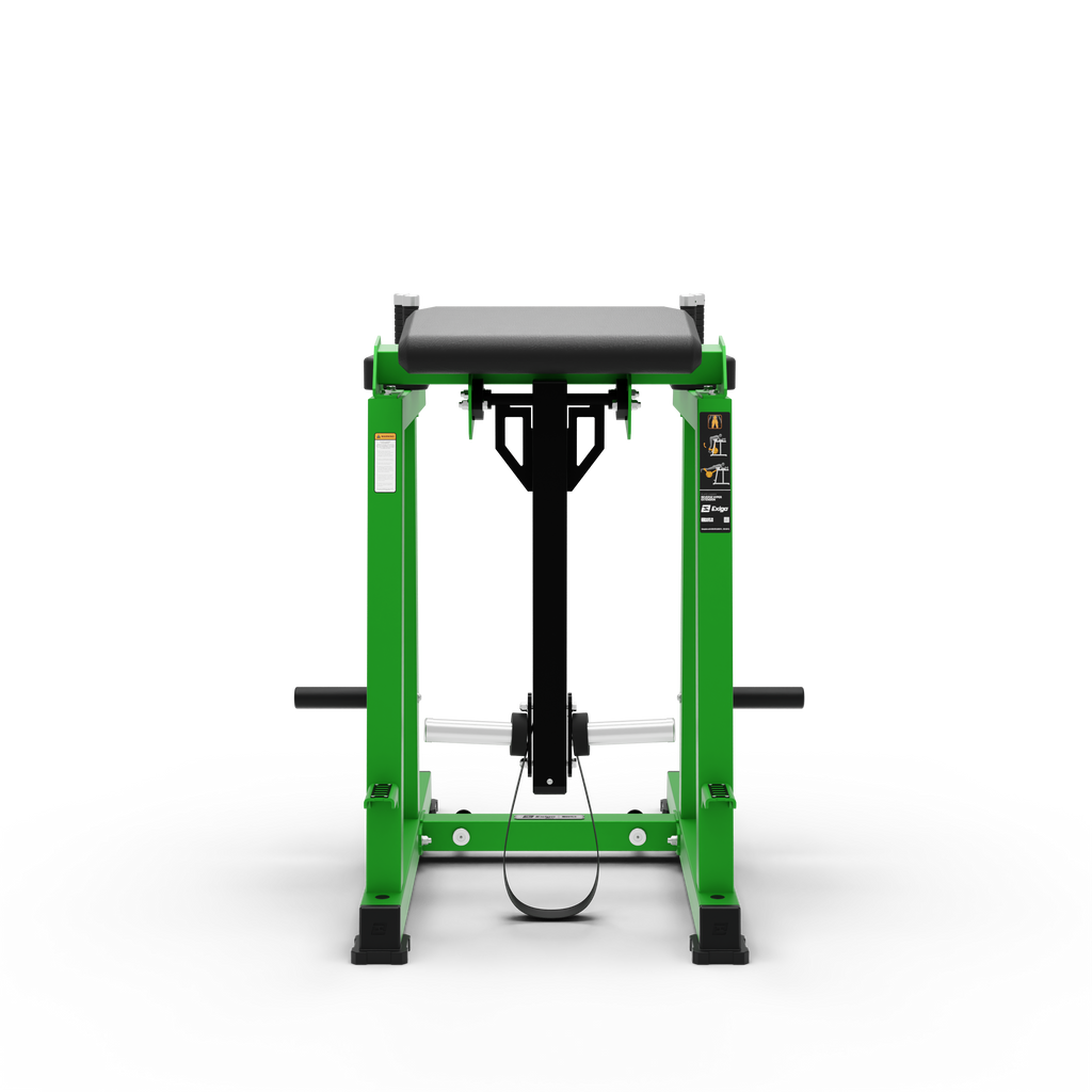 Reverse Hyper Extension
