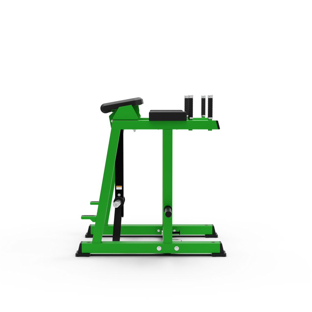 Reverse Hyper Extension