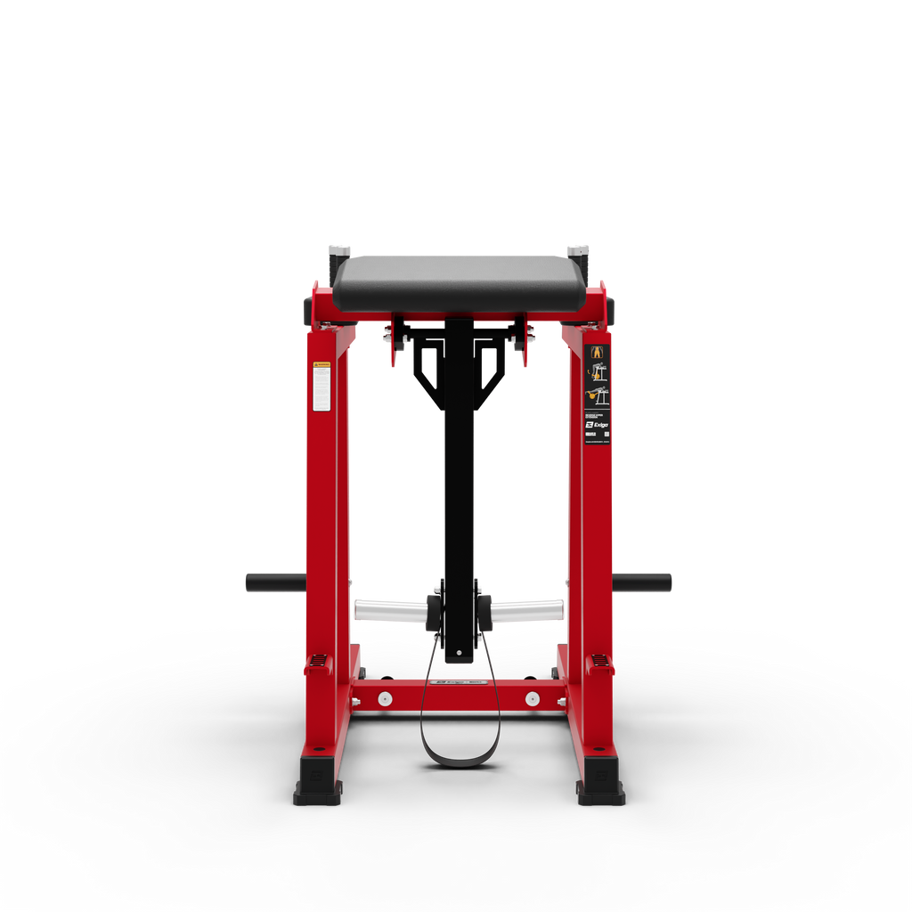 Reverse Hyper Extension