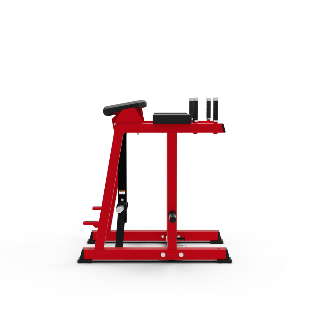 Reverse Hyper Extension