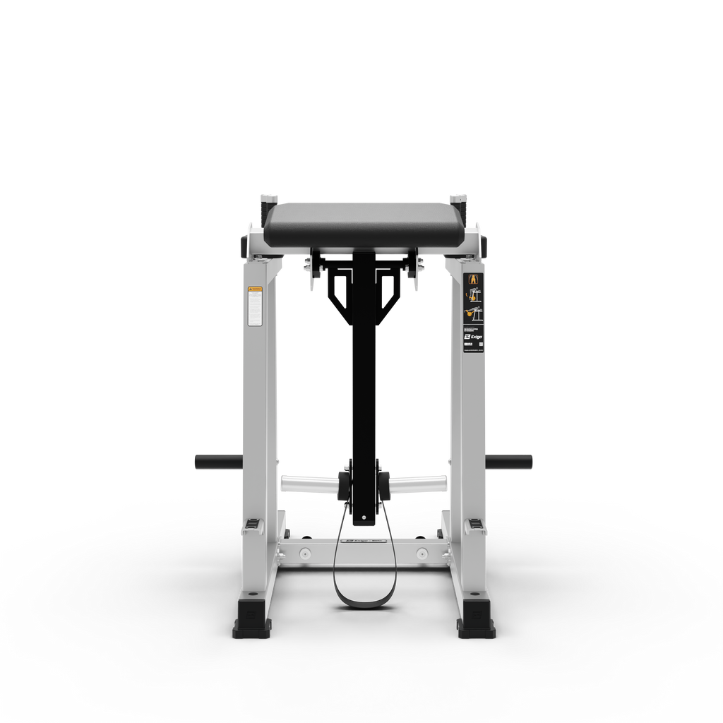 Reverse Hyper Extension
