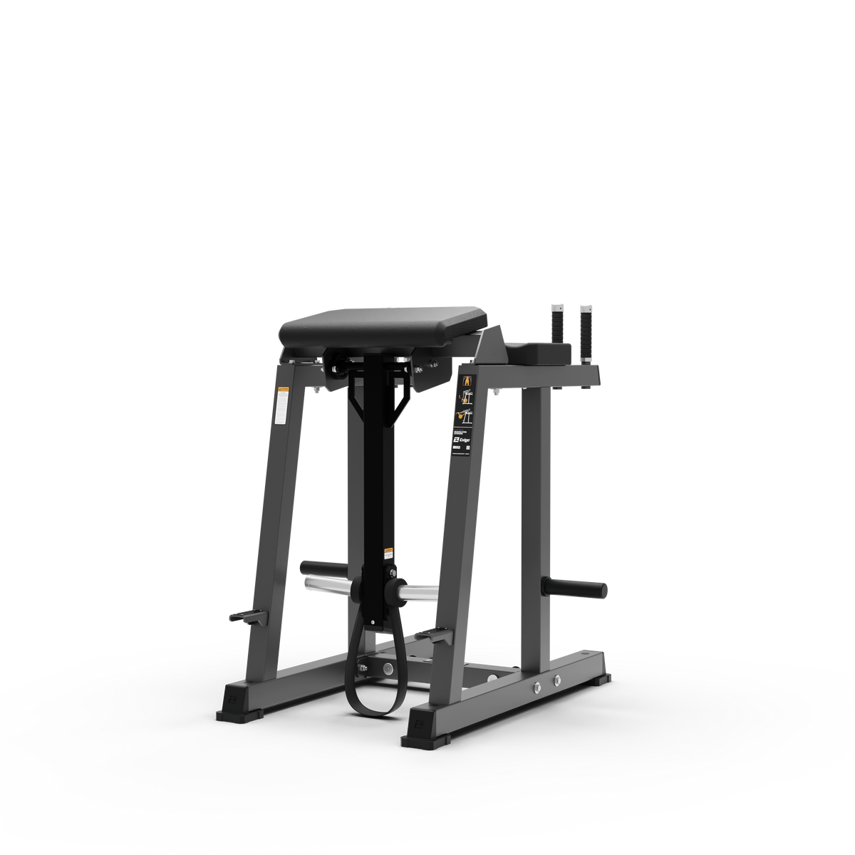 Reverse Hyper Extension