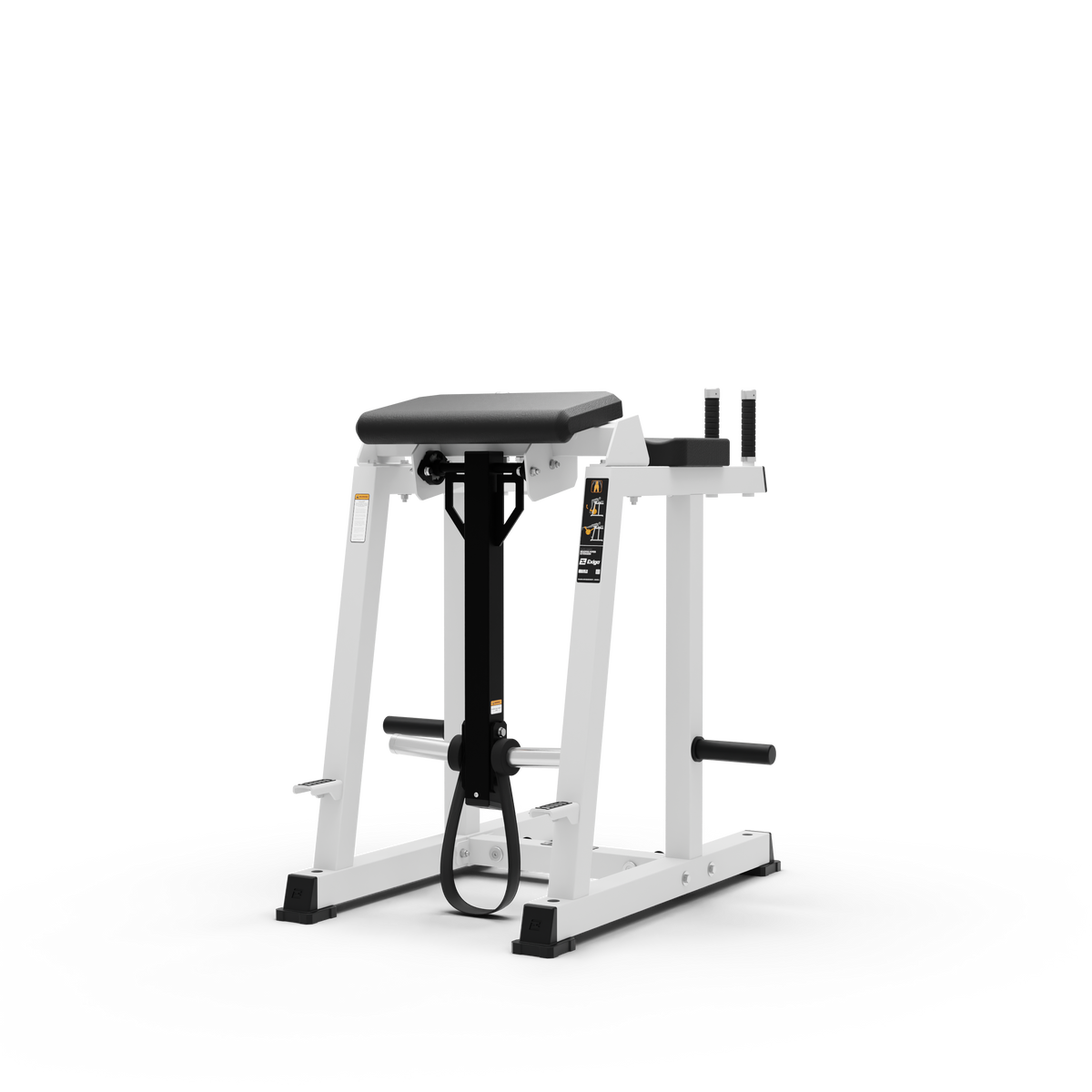Reverse Hyper Extension