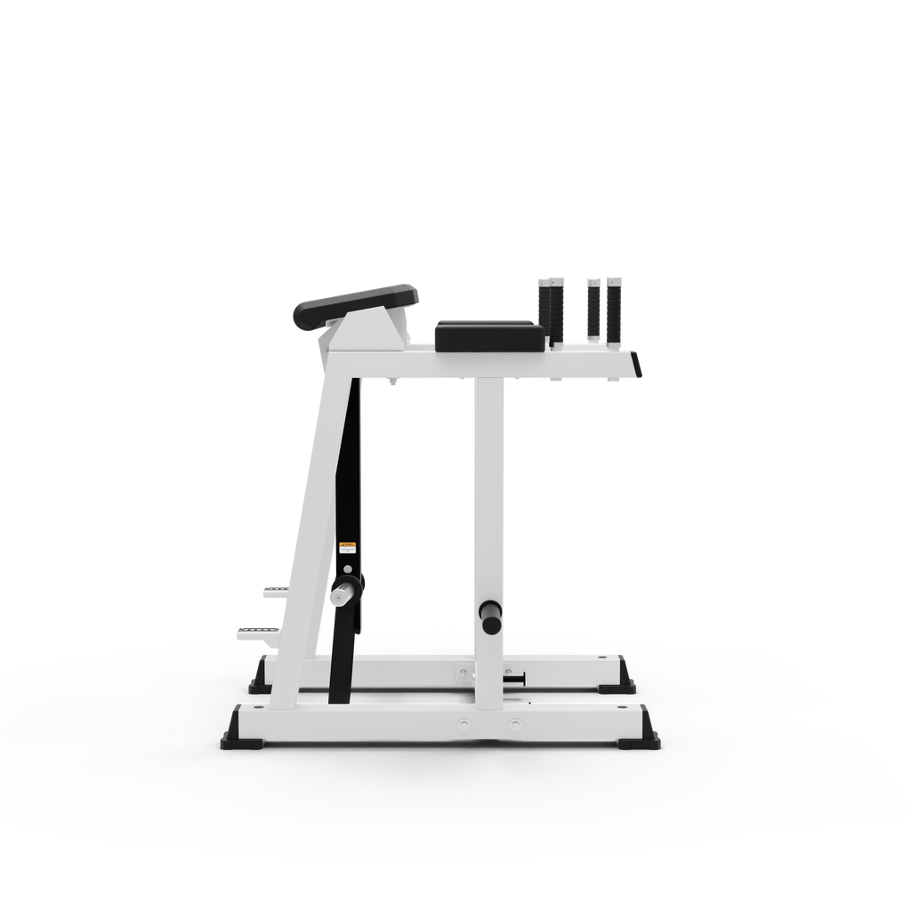 Reverse Hyper Extension