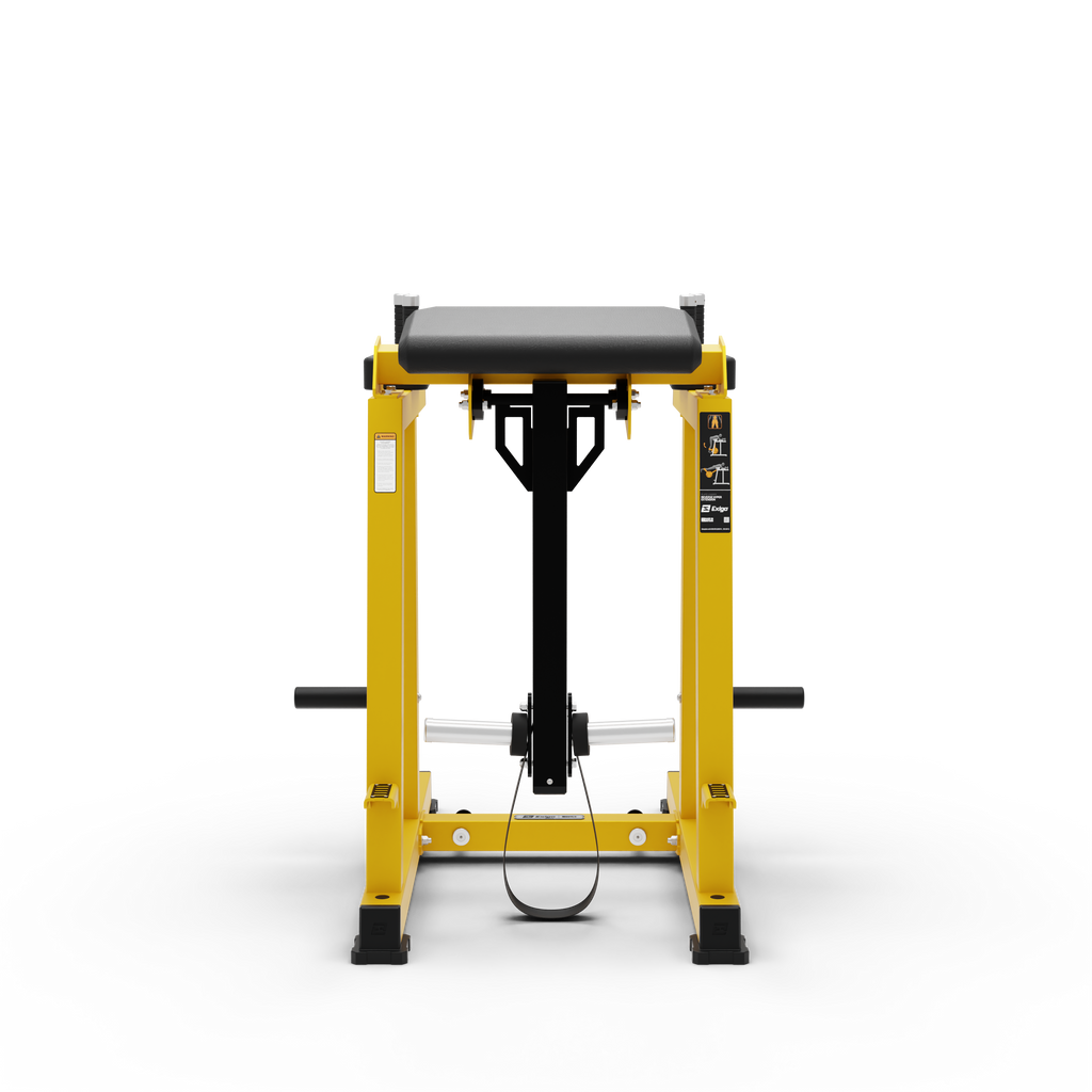 Reverse Hyper Extension