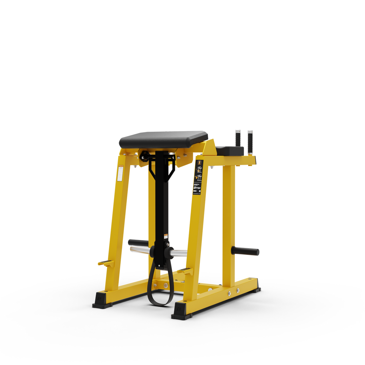 Reverse Hyper Extension