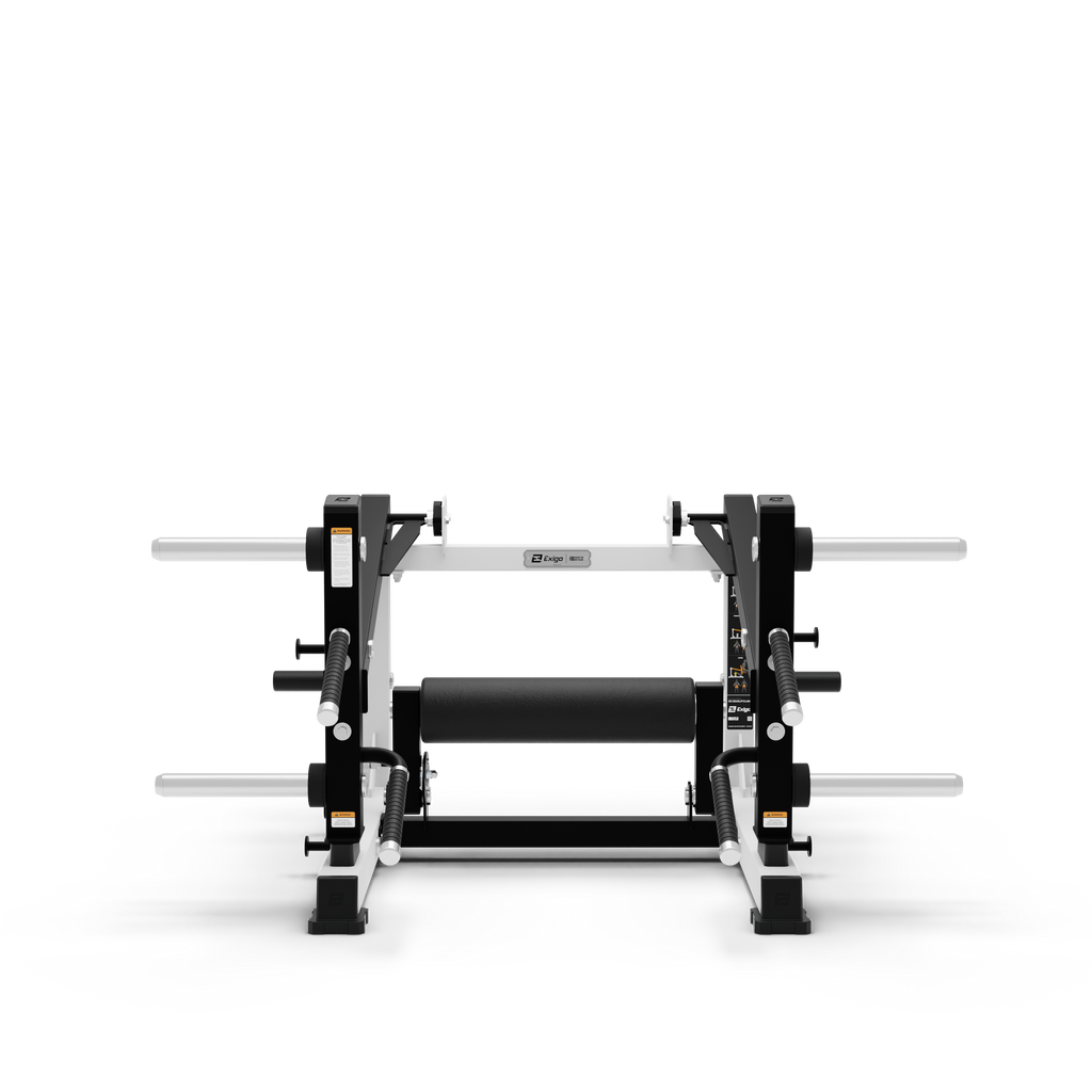 ISO Deadlift / Lunge