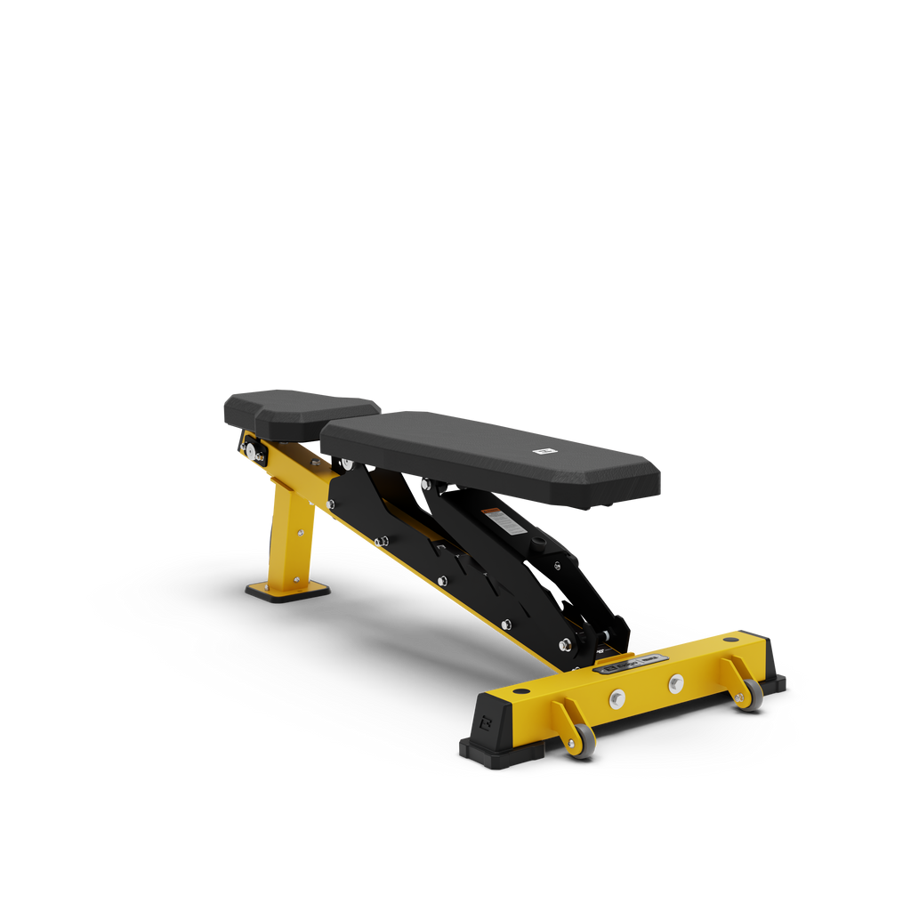 Exigo Adjustable Bench