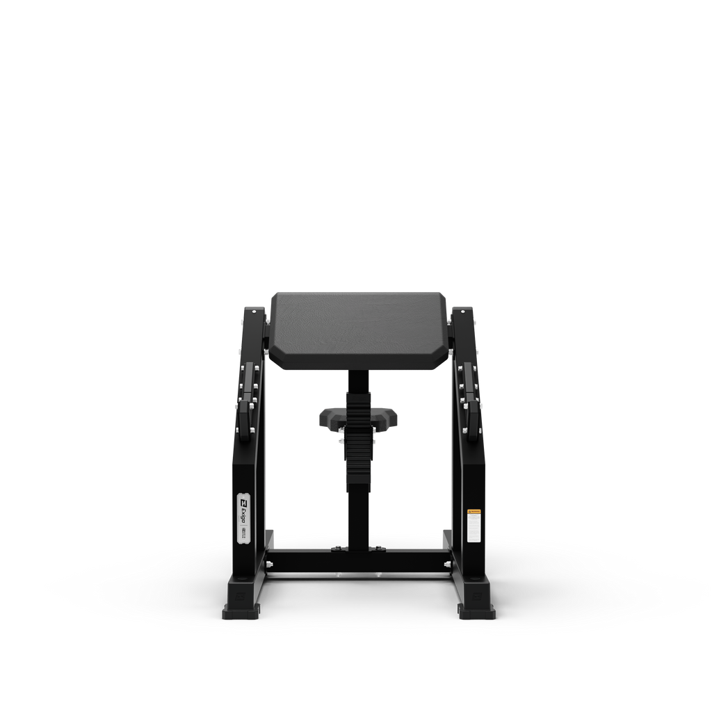 Seated Preacher Curl Bench