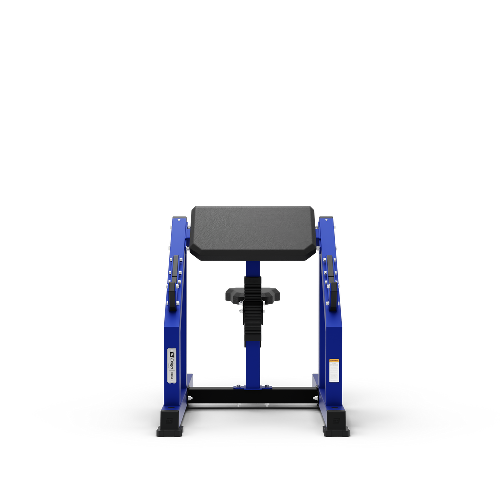 Seated Preacher Curl Bench