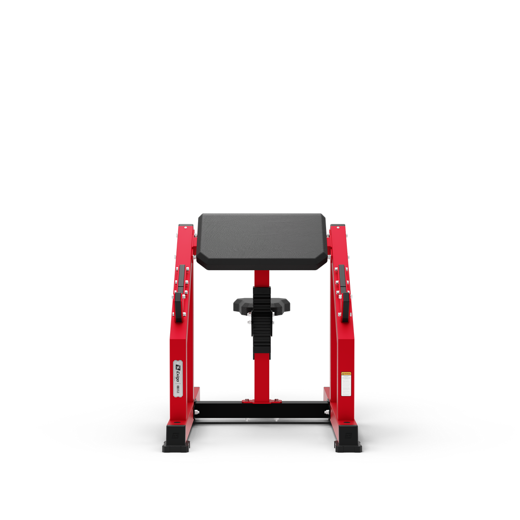 Seated Preacher Curl Bench