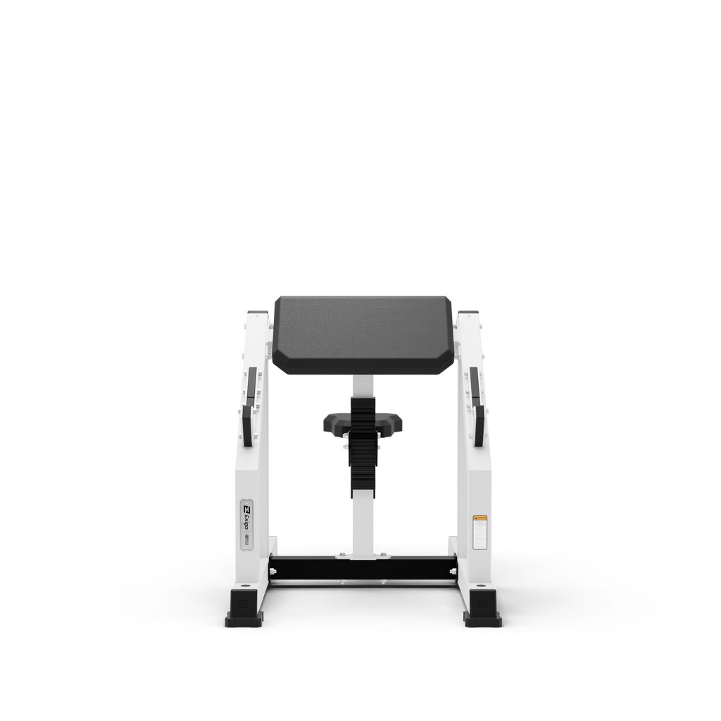 Seated Preacher Curl Bench