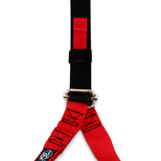 Pro Bodyweight Suspension Trainer